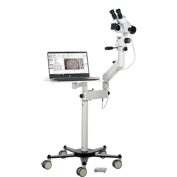 Гинекология и акушерство